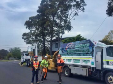 Prepping for a Prune Moe vegetation management