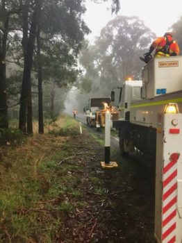 Morning Vegetation Management Moe vegetation management