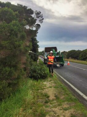 Vegetation Management