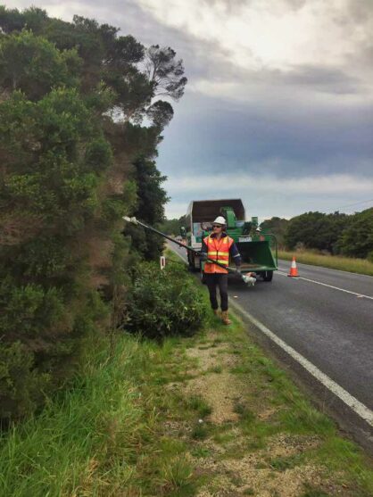 Roadside Vegetation Management 2 Moe vegetation management