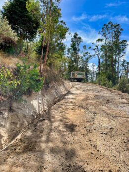 Driveway Construction