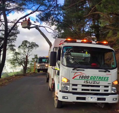 Elevated Work Platform Hire