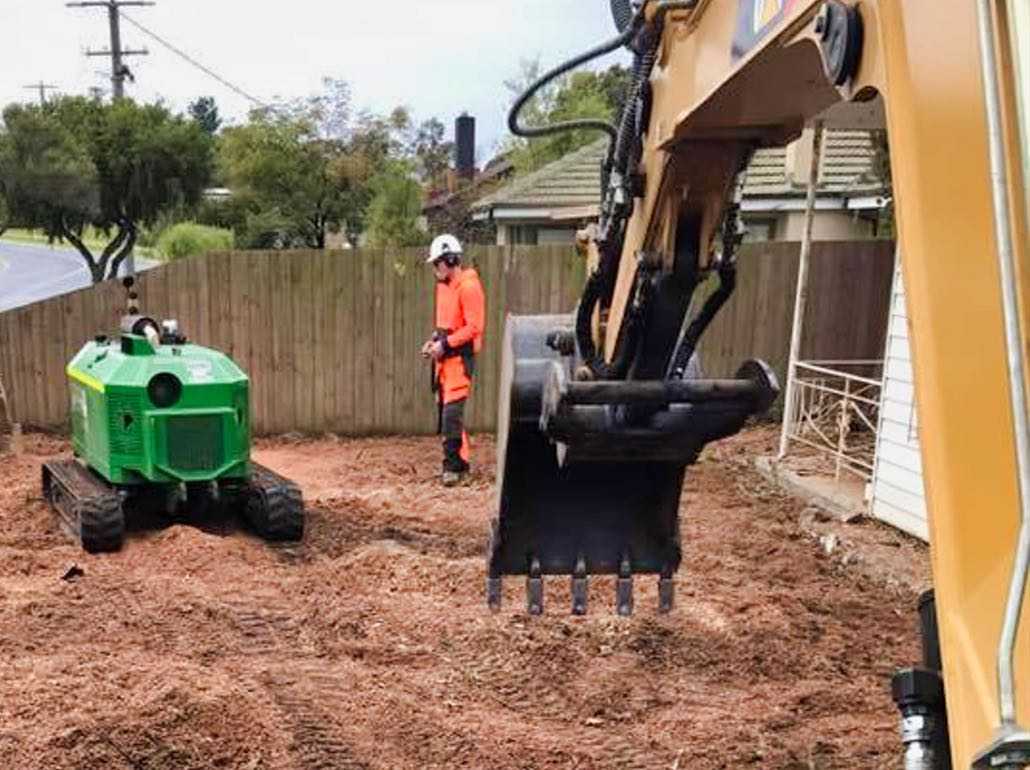 Tree Removal