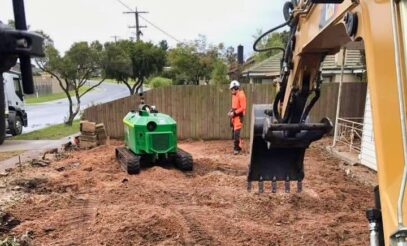 Stump Removal