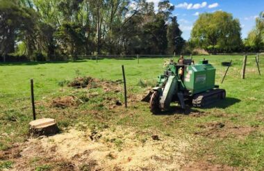 Stump Removal