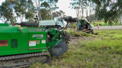 Stump Removal