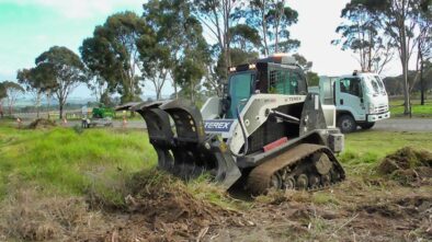 Stump Removal