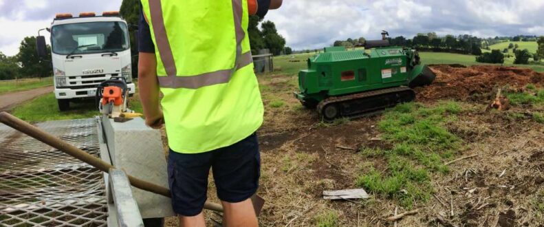 Stump Removal