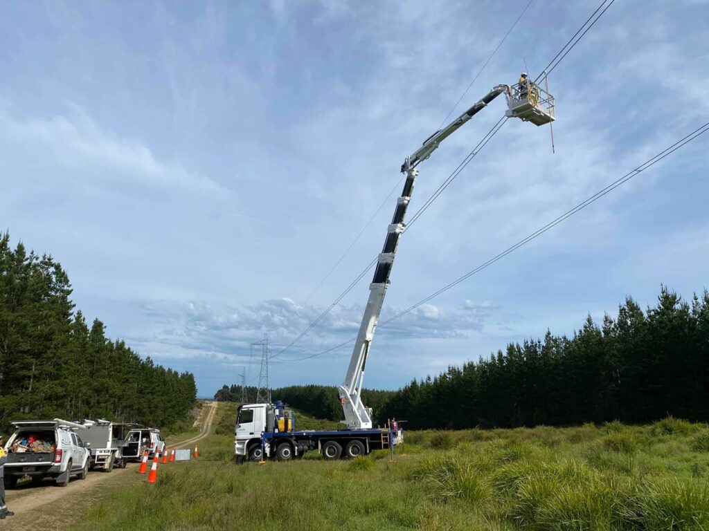 Tree Removal Tree Removal