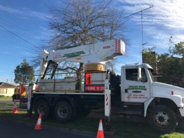 Tree Pruning