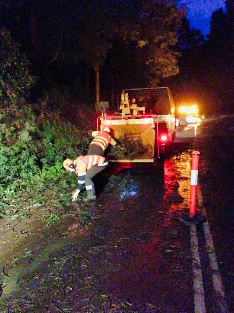 Wood Chipping in the Dark Moe vegetation management