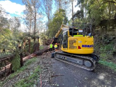 homepage recent work Moe vegetation management